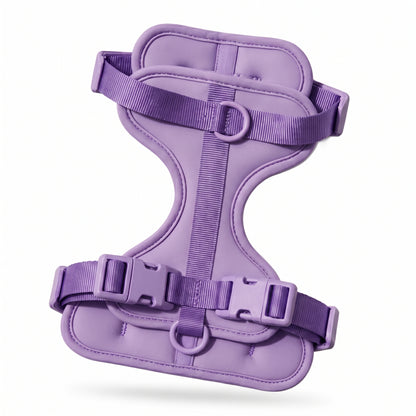 Wren Harness
