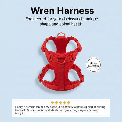 Wren Harness