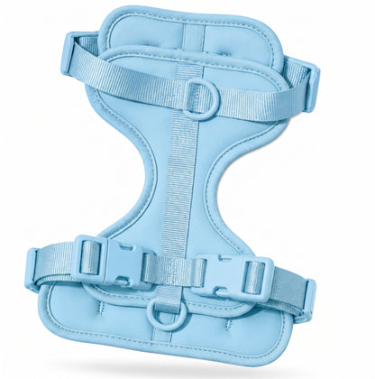 Wren Harness
