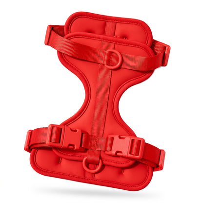 Wren Harness