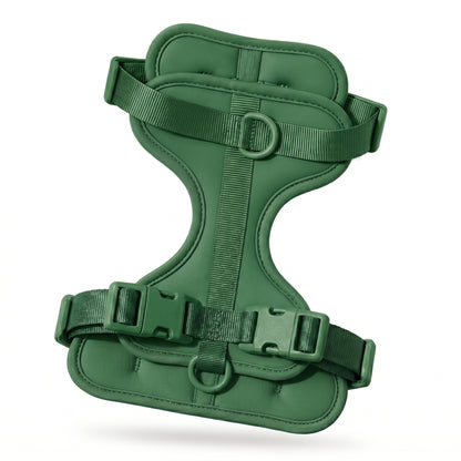 Wren Harness