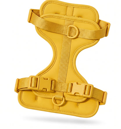 Wren Harness