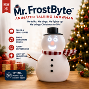 Mr. FrostByte